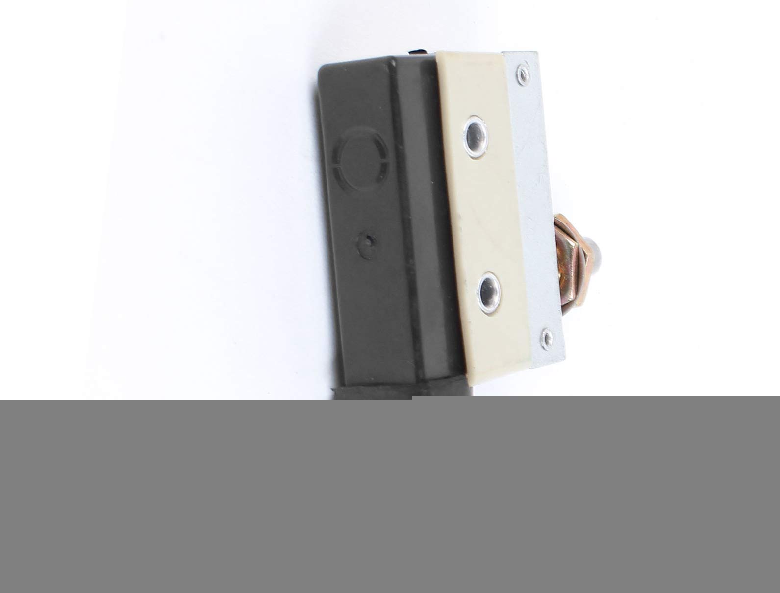 Amazon.com: Aexit TZ7310 Plunger Switches Type SPDT Momentary